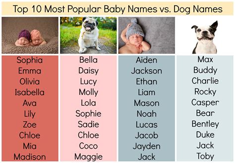 Unique male dog names - wahohpa