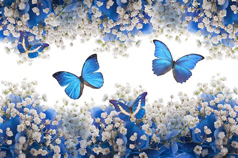 Top 999+ Blue Butterfly Wallpaper Full HD, 4K Free to Use