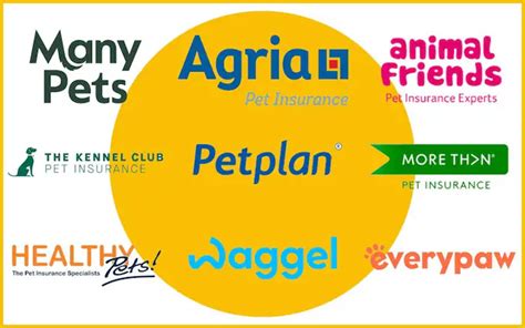 Best Pet Insurance Companies for 2023: A Comprehensive Guide - The Tech Edvocate