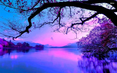 Purple Sunrise Wallpapers - Top Free Purple Sunrise Backgrounds ...