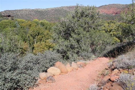 Birding at Red Rock State Park (Sedona. Arizona)