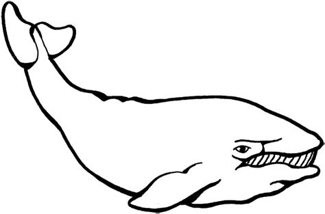 Whale Outline - Coloringkids.org Coloring Kids - Coloring Kids