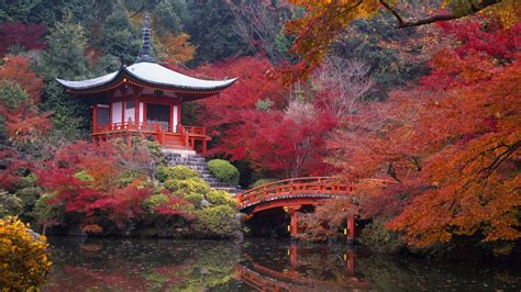 Kyoto Daigo-ji Fall Shrine HD Wallpaper