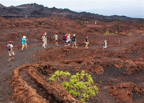 21 Galapagos Islands Volcanoes (Active, Dormant, Location Chart) | Storyteller Travel