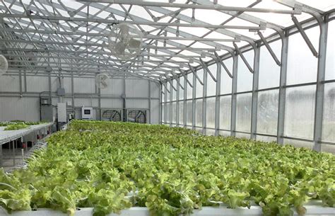 Four-Seasons Greenhouses in Canada - Commercial Greenhouse Kits in Canada