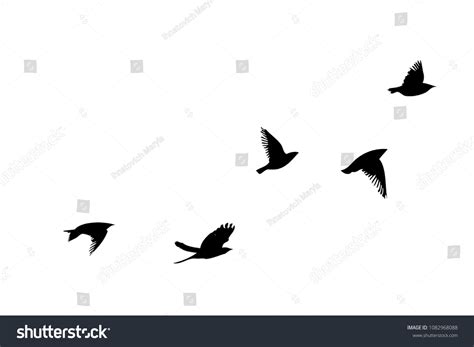 112,903 Birds Flying Drawing Images, Stock Photos & Vectors | Shutterstock