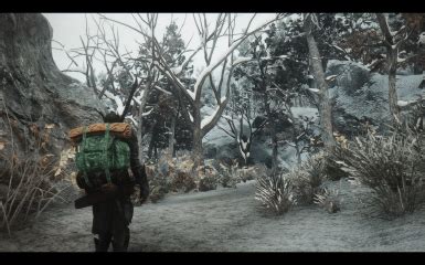 nice reshade at Skyrim Special Edition Nexus - Mods and Community