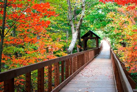 9 spots to see stunning fall foliage in Alabama | The Bama Buzz