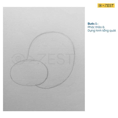 Hướng dẫn vẽ chú Hổ bằng bút chì đơn giản - Zest Art