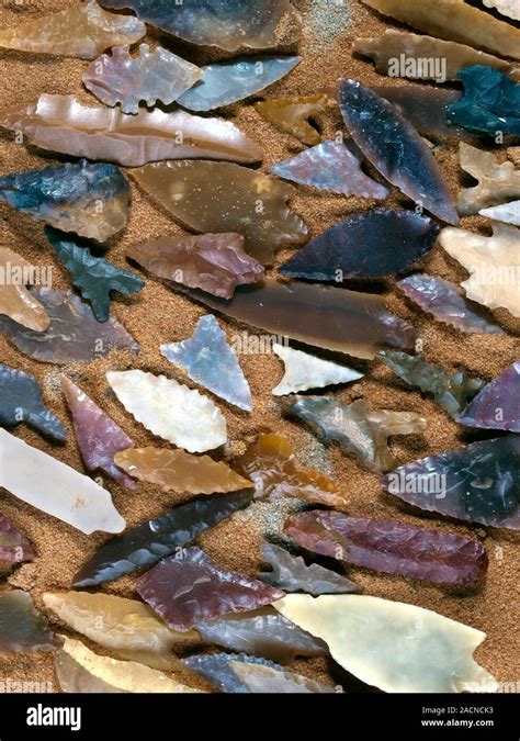 Neolithic flint arrowheads. Stone-age flint arrowheads dating from ...