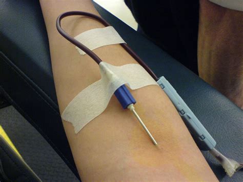 File:Blood Donation 12-07-06 1.JPG - Wikimedia Commons
