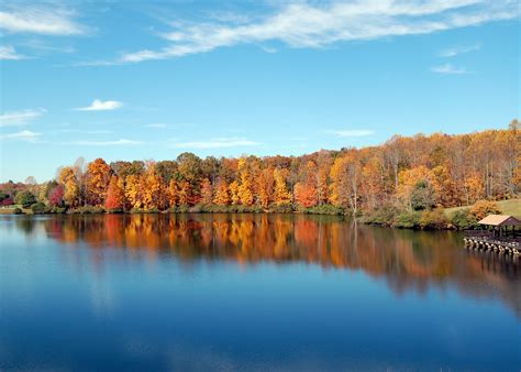 Virginia Fall Foliage 2024 - Rove.me