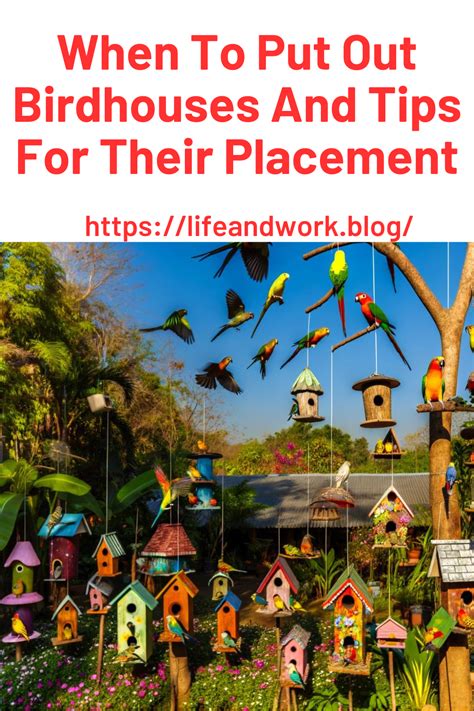 When To Put Out Birdhouses And Tips For Their Placement