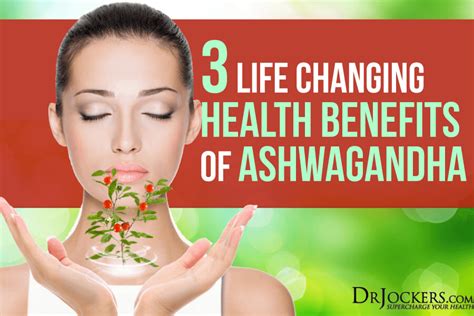 3 Life Changing Health Benefits of Ashwagandha - DrJockers.com