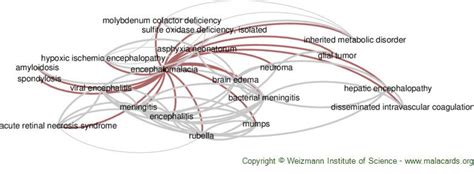 Encephalomalacia disease: Malacards - Research Articles, Drugs, Genes ...