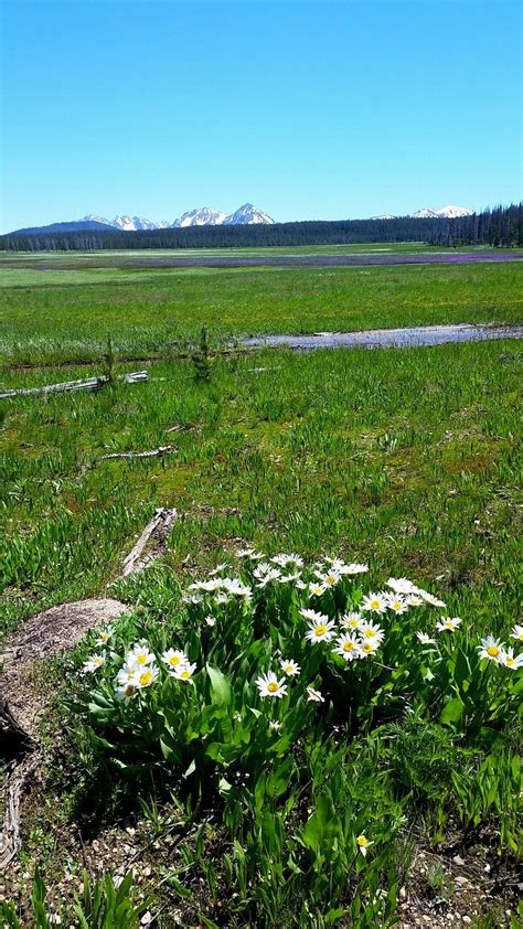 Salmon Challis National Forest, Idaho | Challis idaho, National forest, Natural landmarks