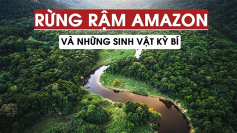 RỪNG RẬM AMAZON VÀ NHỮNG SINH VẬT KỲ BÍ THÁCH THỨC CON NGƯỜI KHÁM PHÁ | ĐỊA LÝ KỲ THÚ #8 - YouTube