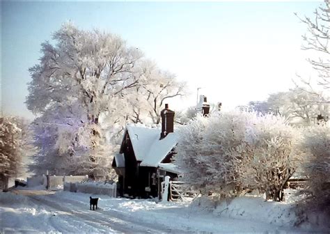 Snowy cottage in Staffordshire, England. | England winter, Winter scenes, Scenery