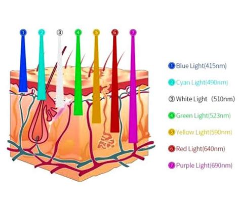 LED Light Therapy - The ultimate guide: How it works, benefits & risks ...