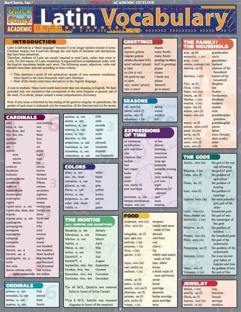 LATIN VOCABULARY STUDY GUIDE (eBook Rental) | Latin language learning