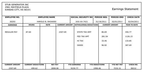 create your own paycheck stubs instantly | Statement template, Payroll template, Payroll checks