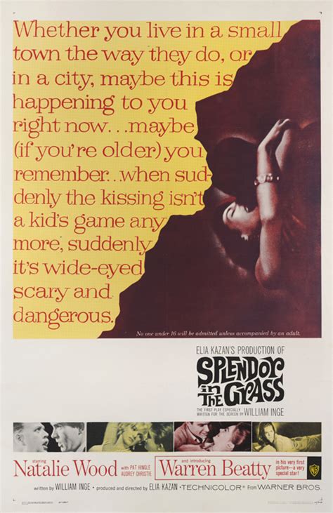 Splendor in the Grass - The Reel Poster Gallery