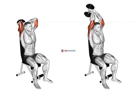 Dumbbell Seated Triceps Extension - Home Gym Review