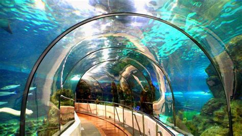 Barcelona Aquarium | Barcelona-Home Blog