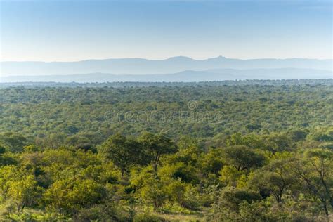 Kruger National Park, Mpumalanga, South Africa Stock Image - Image of outdoor, drive: 113789827