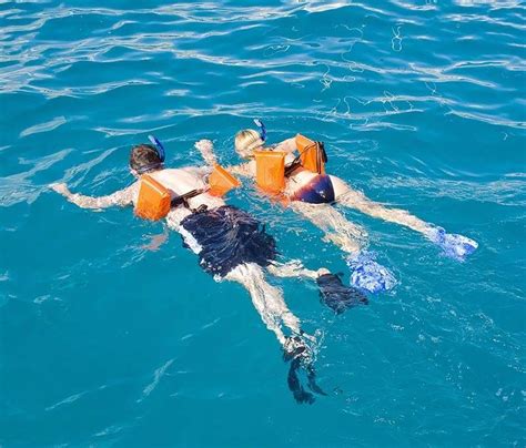 Best Snorkeling in Cabo San Lucas? Best Tours? An Insider Guide – Sand ...