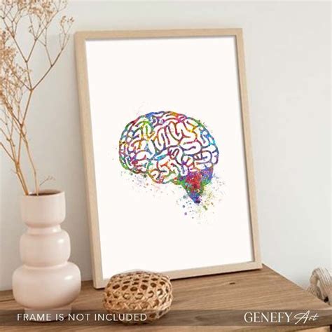 Brain Watercolor Art Print Brain Anatomy Watercolor Print - Etsy