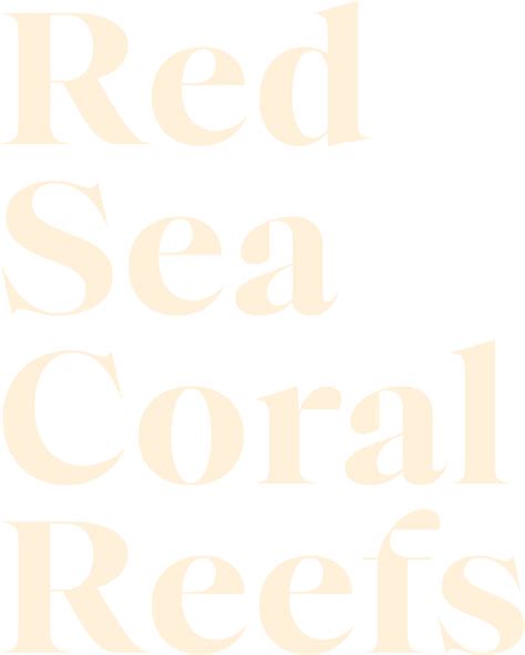 Reef Relief Sunscreen