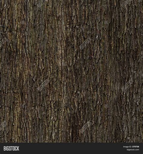 Oak Bark Texture Image & Photo (Free Trial) | Bigstock