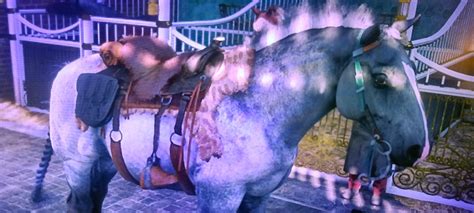 How did I get the bear saddle with the panther skin underneath? : r/RDR2