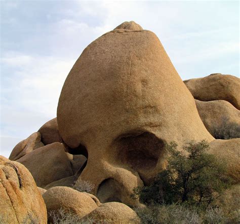 Joshua Tree National Park Skull Rock | Joshua tree national park, National parks, Senior trip