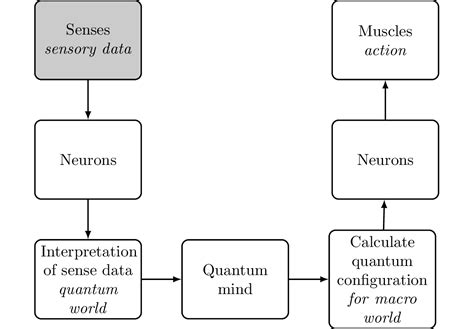 What Theories of Consciousness were there in the Past?