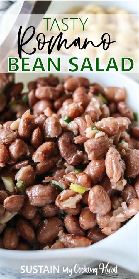 Simple & Tasty Romano Bean Salad Recipe - Sustain My Cooking Habit