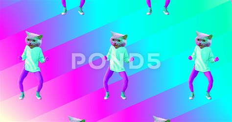 Cat Dancing Animation