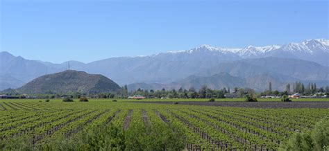 Chile Wine Tours » Private Visits to Top Wineries » Cellar Tours