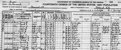 The 1920 Census - A Research Guide - Learn Genealogy