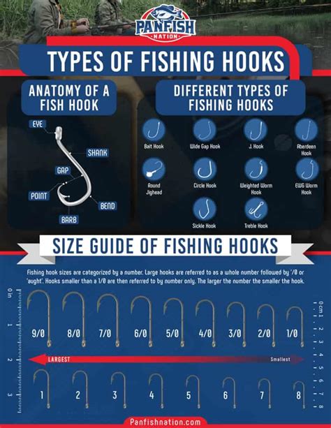 Fishing Hook Sizes & Types Explained (With Chart!) • Panfish Nation