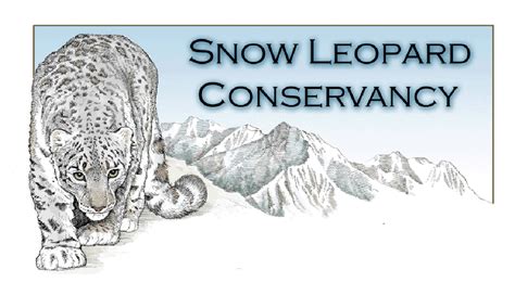 Snow Leopard Conservancy | San Francisco CA