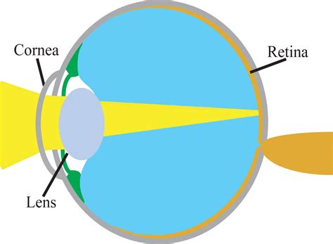 Research – Cheng Lab