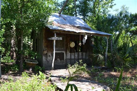 Swamp house | New orleans travel, Swamp tours, Swamp