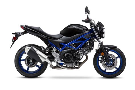 2019 Suzuki SV650 ABS Guide • Total Motorcycle