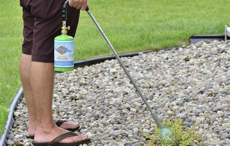 3 propane torches for burning weeds - InsightWeeds