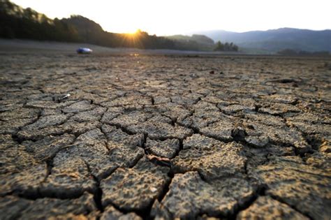 Cause e conseguenze dei cambiamenti climatici - I vantaggi dell'editoria online