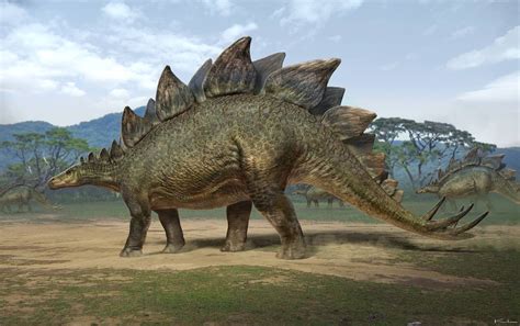 Stegosaurus concept | Динозавры, Животные, Рисунки динозавров