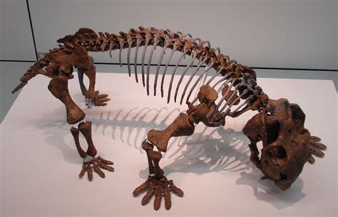 Lystrosaurus Seukuran Babi Kecil