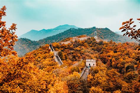 aerial, photography, great, wall, china, great wall of china, autumn, leaves | Piqsels
